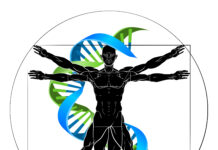 The Body Manual: You Were Not Born Broken