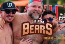 David Magazine v10_i16 | Team Bears
