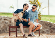 Queerly Beloved: Fur Babies and Found Family