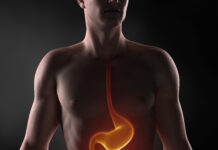 The Body Manual: You’re Not Alone in There